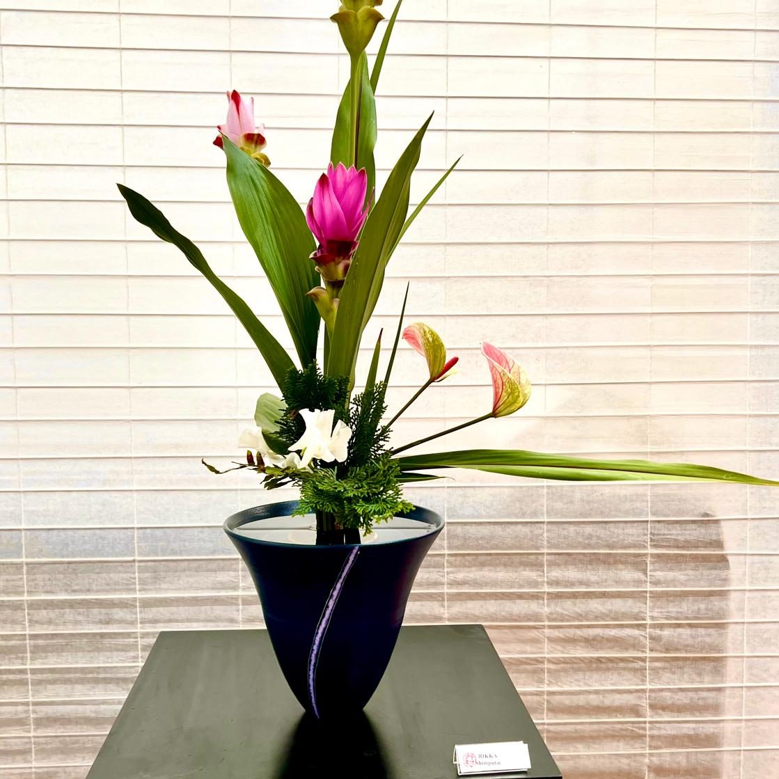 Vera Exner 
Maestra de Ikebana